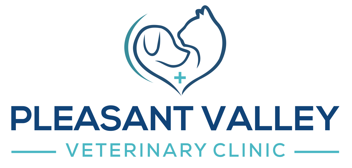 Pleasant Valley Veterinary Clinic Home